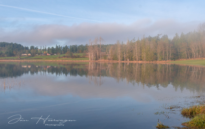 Jan HeerwagenNovember 2021Flooded Field Reflections