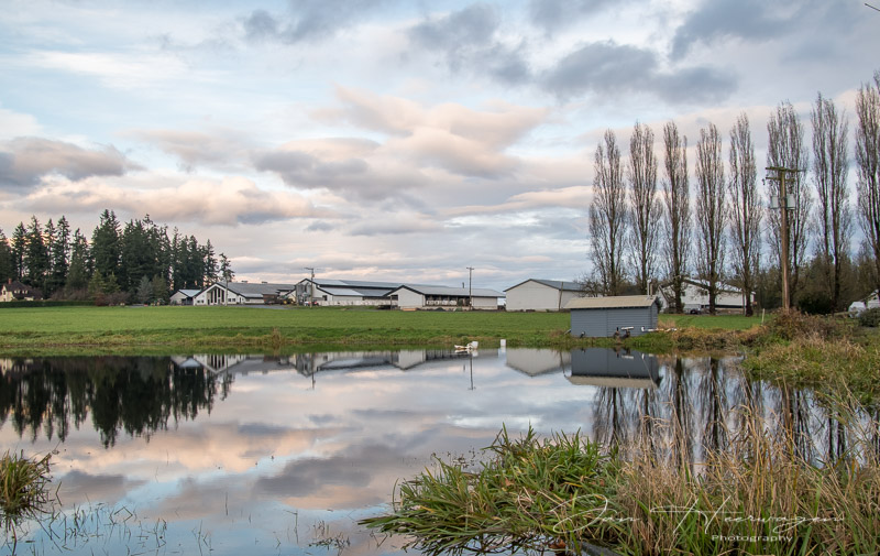 Jan HeerwagenNovember 2021Calm Before Dusk