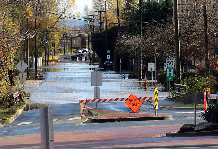 Willie Harvie November 2021 Road Closed