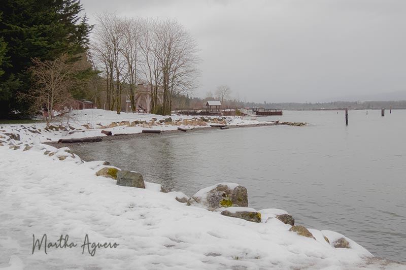 Martha AgueroCowichan Bay, January 2022A touch of colour