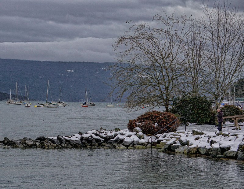 Ed TajeCowichan BayJanuary 2022 Along the Breakwater