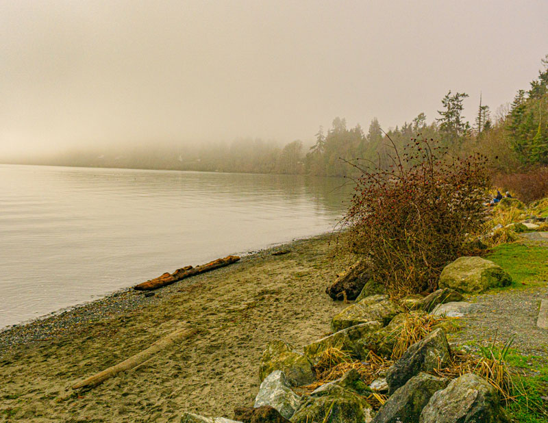 Ed TajeJanuary 2022Along the Shore