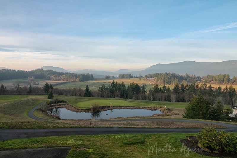 Martha Aguero  January 2022 A view from Arbutus Ridge Restaurant