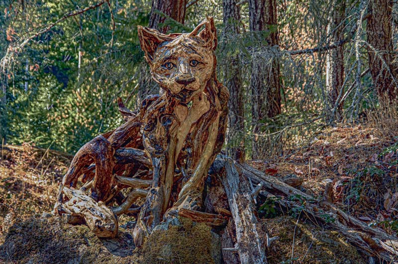 Ed Taje<br>April 2022<br>London Drugs Canvas Print<br>Theme: Driftwood<br>Driftwood Sculpture Watching You