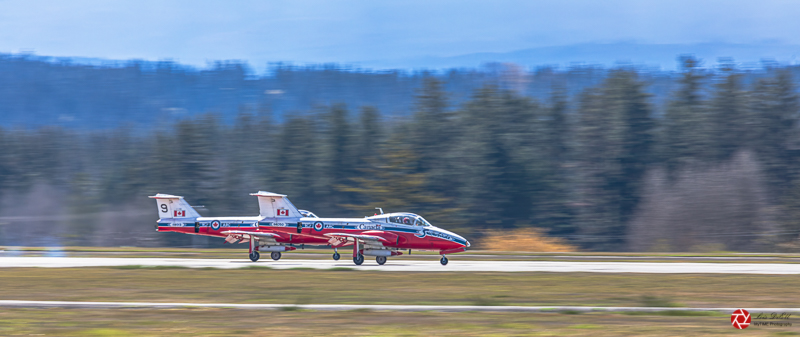 Photos of the Month - April 2022 