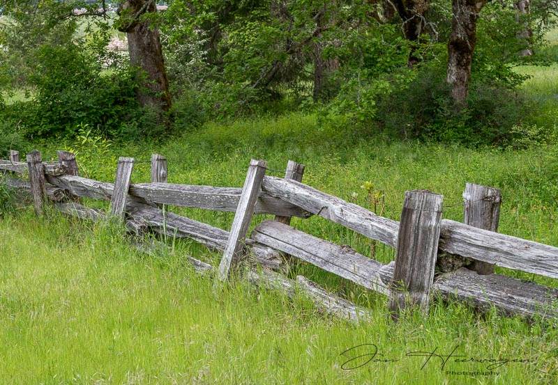 Jan HeerwagenMay 2022Garry Oak PreserveSplit Cedar Rail Fence