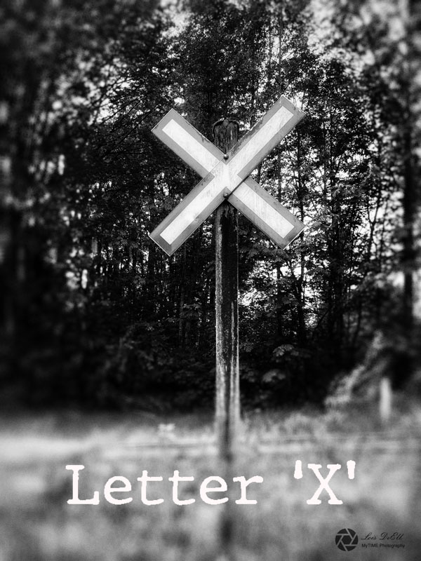 Lois DeEll2022 Summer ChallengeLetter X