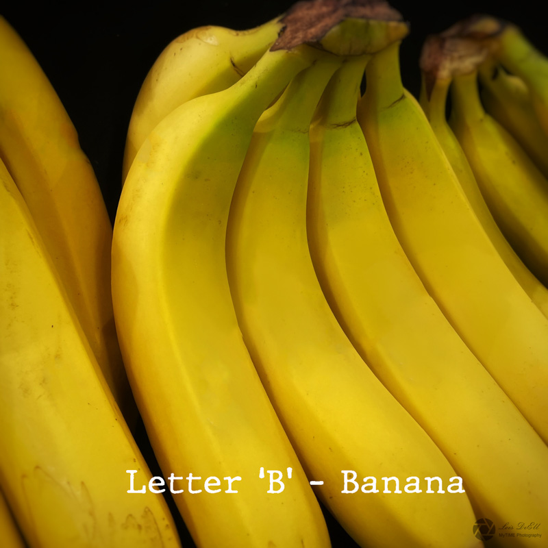 Lois DeEll2022 Summer ChallengeLetter B - Banana