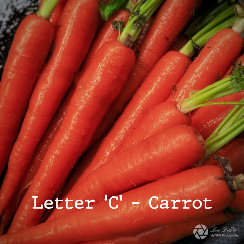Lois DeEll2022 Summer ChallengeLetter C - Carrot