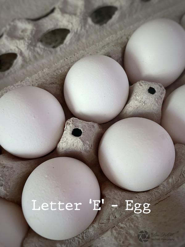 Lois DeEll2022 Summer ChallengeLetter E - Egg