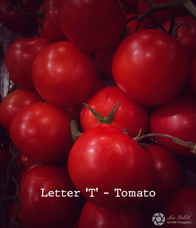 Lois DeEll2022 Summer ChallengeLetter T - Tomato