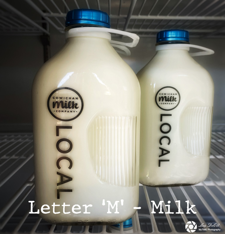 Lois DeEll2022 Summer ChallengeLetter M - Milk