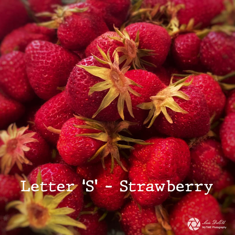 Lois DeEll2022 Summer ChallengeLetter S - Strawberry