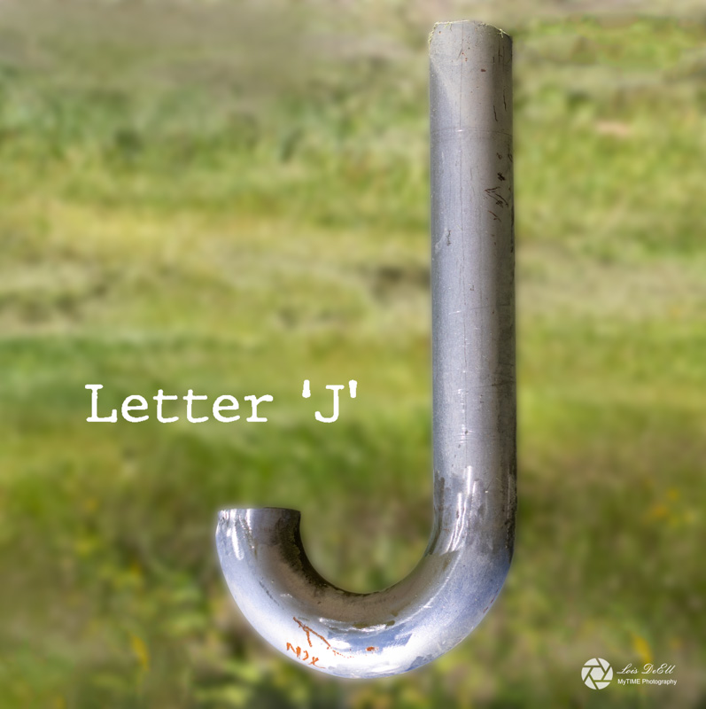 Lois DeEll2022 Summer ChallengeLetter J