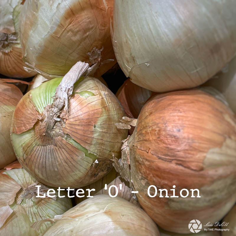 <br>Lois DeEll<br>2022 Summer Challenge<br>Letter O - Onion