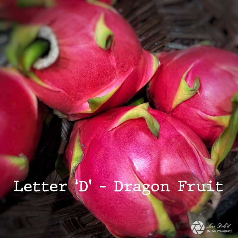 Lois DeEll2022 Summer ChallengeLetter D - Dragon Fruit