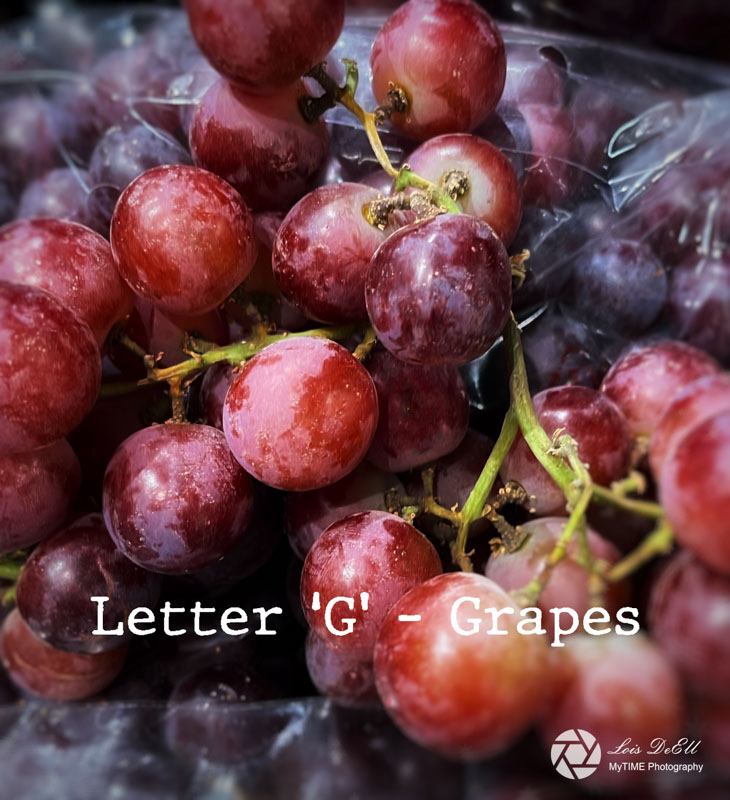 Lois DeEll2022 Summer ChallengeLetter G - Grapes