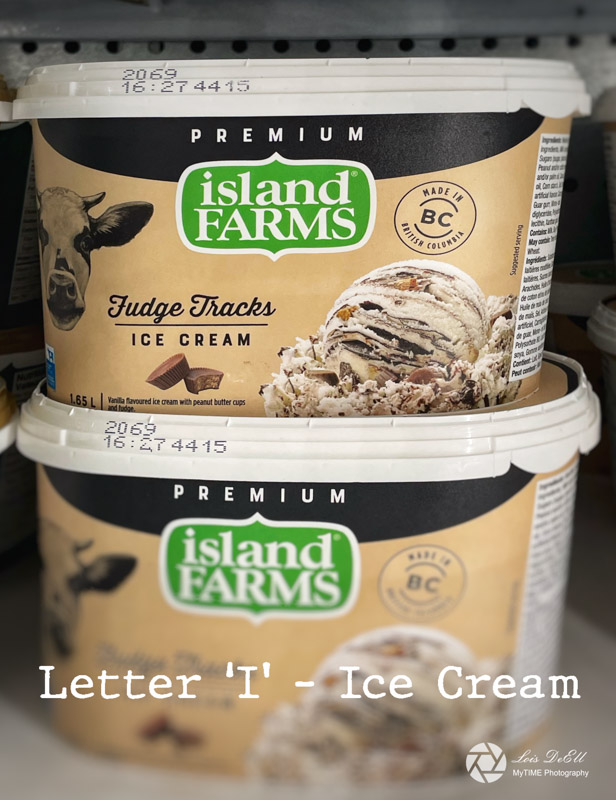 Lois DeEll2022 Summer ChallengeLetter I - Ice Cream