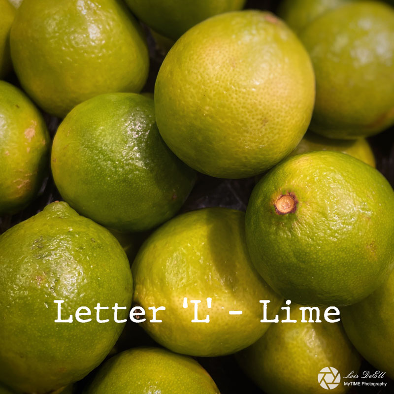 Lois DeEll2022 Summer ChallengeLetter L - Lime