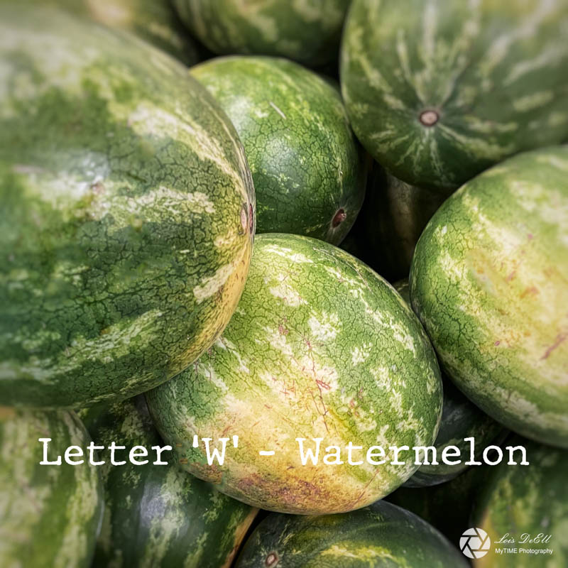 Lois DeEll2022 Summer ChallengeLetter W - Watermelon