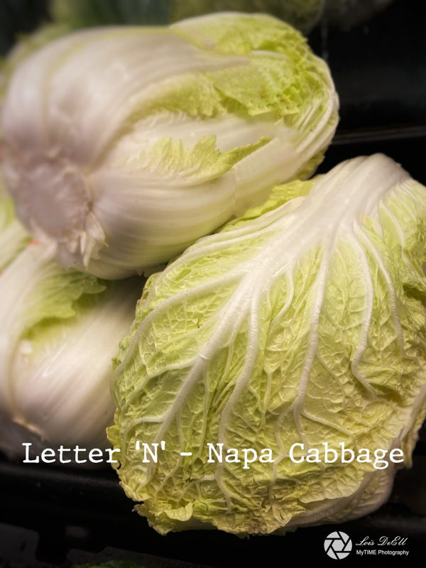 Lois DeEll2022 Summer ChallengeLetter N - Napa Cabbage