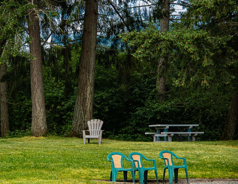 Ed Taje<br>Vancouver Island Parks<br>July 2022<br>Quiet in the Park