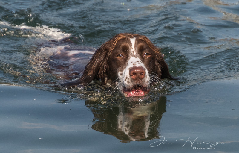 Jan HeerwagenAugust 2022Warm Day Cool Down