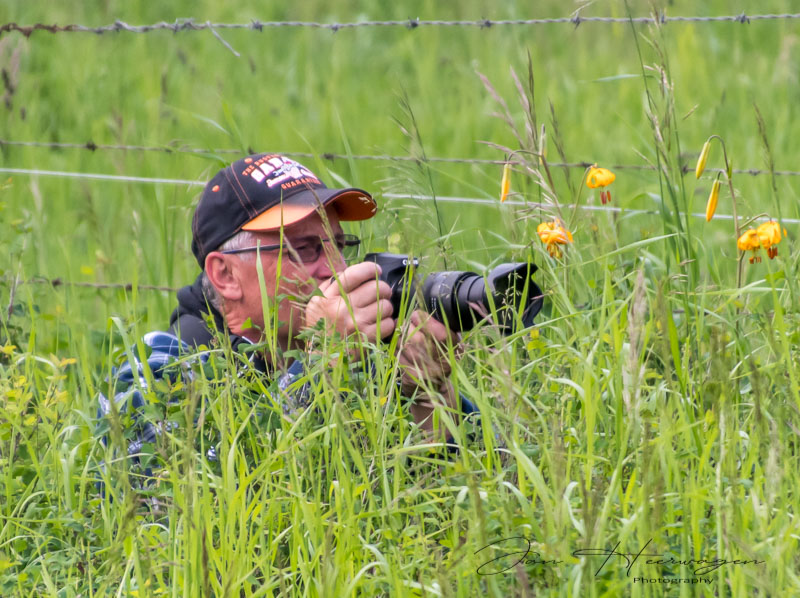 Jan HeerwagenSummer Challenge 2022 J - John Capturing Perfect Image