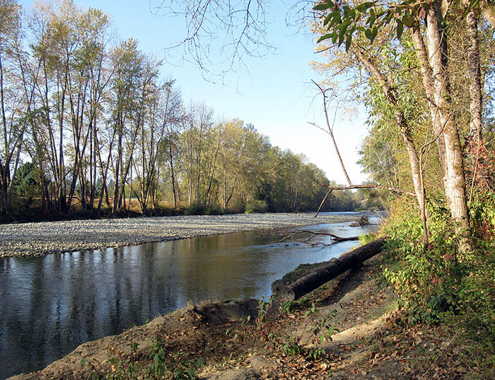 <br>Willie Harvie<br>Oct. 2022<br>The Cowichan River 