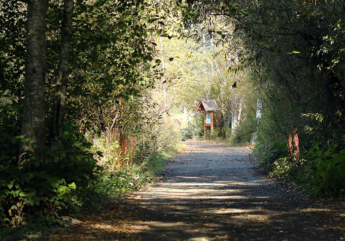 Willie HarvieOctober 2022Path to the Lake