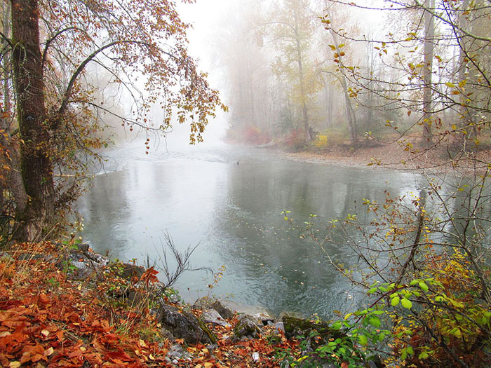 Willie HarvieNovember 2022Foggy Cowichan River