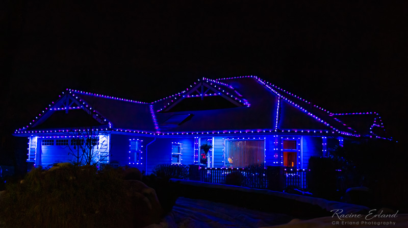 Racine ErlandChristmas Lights - December 2022Blue Christmas