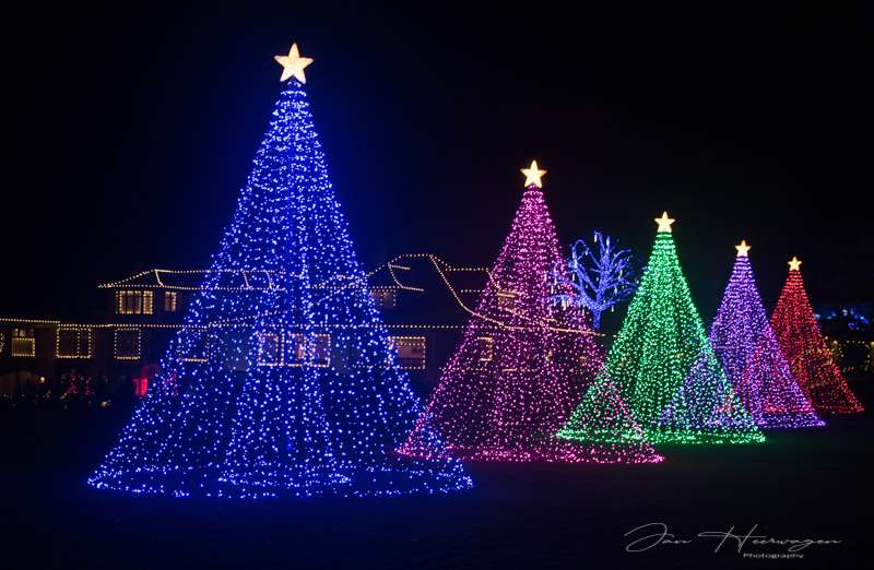 <br>Jan Heerwagen<br>Christmas Lights-December 2022<br>Butchart  Christmas Trees