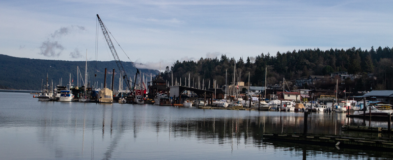 <br>Carl Erland<br>Cowichan Bay/Hecate Park- Field Trip<br>January 2023<br>Cowichan Bay