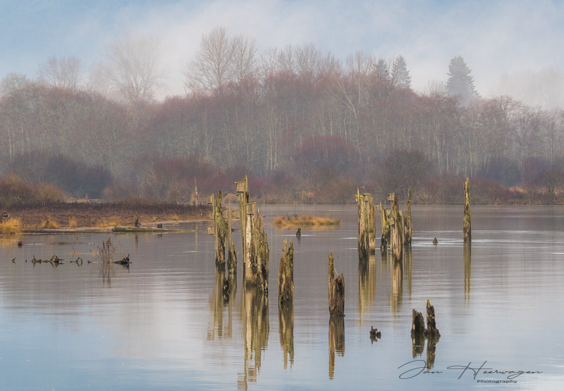 Jan HeerwagenJanuary 2023Cowichan Estuary