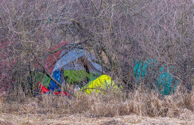 <br>Jan Heerwagen<br>Somenos Marsh-Somenos Lake Field trip<br>January 2023<br>Abandoned Tents