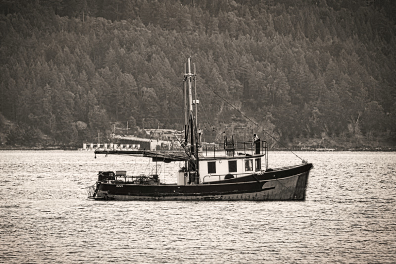 <br>John Viala<br>Crofton Field Trip<br>January- February 2023<br>Vintage Trawler