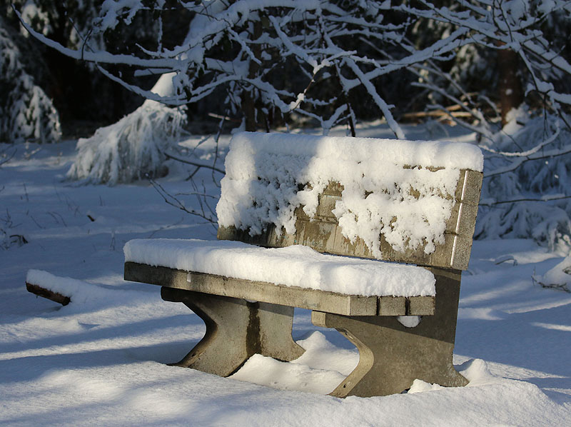 Willie HarvieFebruary 2023Snow Place to Sit