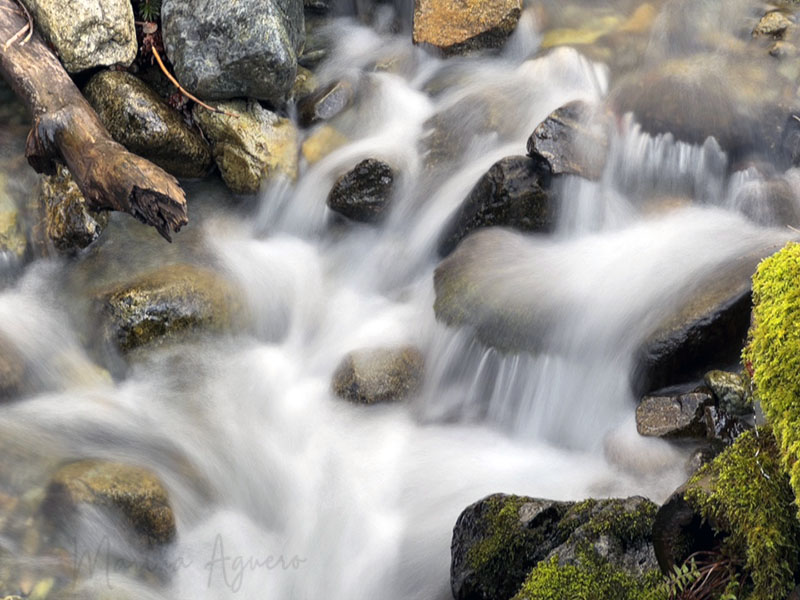 Martha AgueroYoubou- Elk & CommunityFebruary 2023Little Falls at Arbutus Park