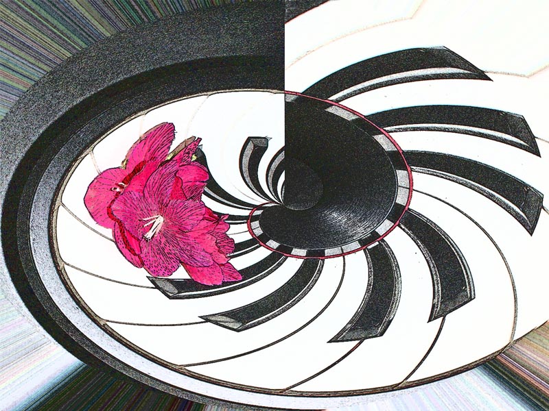 <br>Patricia Rankin<br>2023 April<br>London Drugs Canvas Print<br>Theme: Music<br>Disc Drive