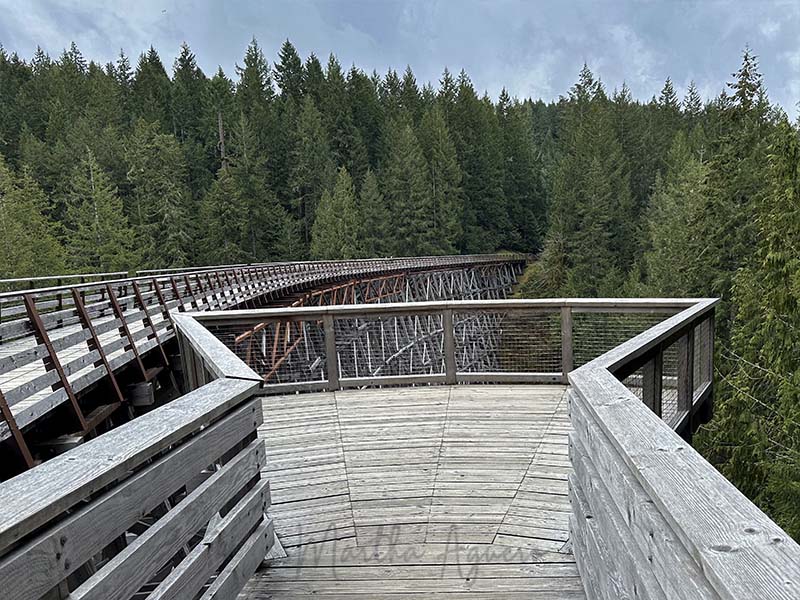 <br>Martha Aguero <br>Kinsol Trestle <br>April 2023 <br> From the lookout