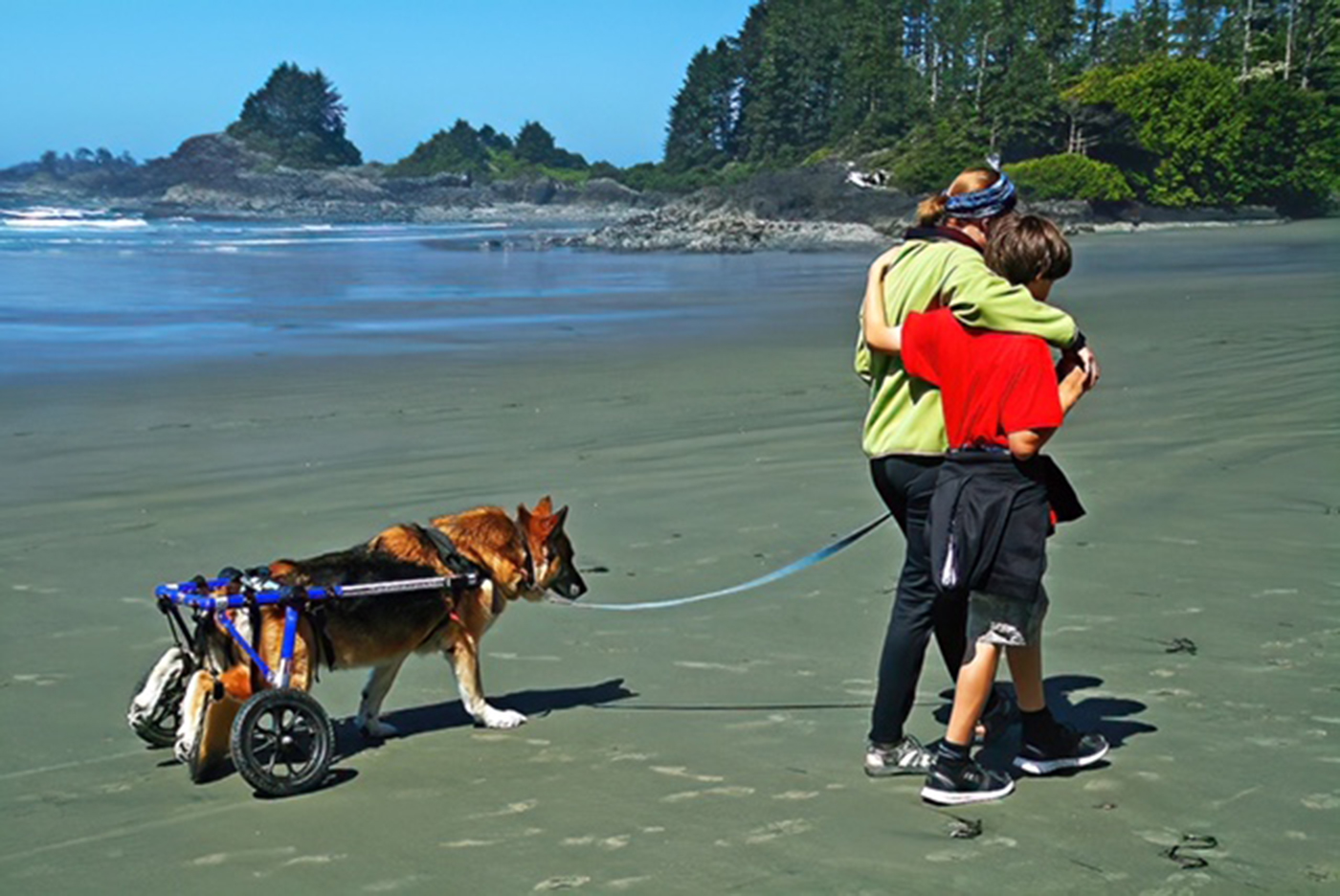 <br>Bob Skelton<br>CAPA 2023 Canada My Country<br>Chesterman Beach Stroll