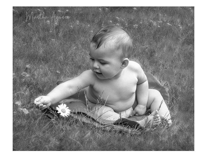 Martha Aguero2023 Summer Challenge June - Black & White - Portraits  Baby Oak picking a flower