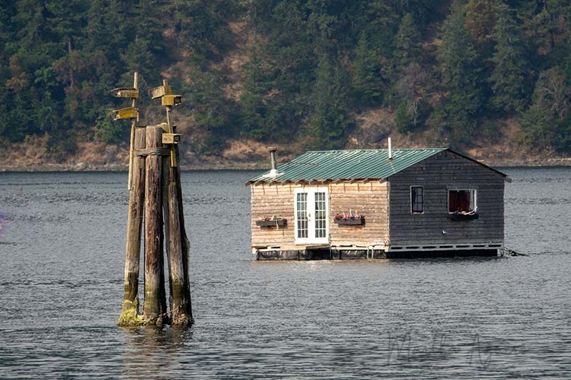 Martha Aguero  July 2023 Houses on the water