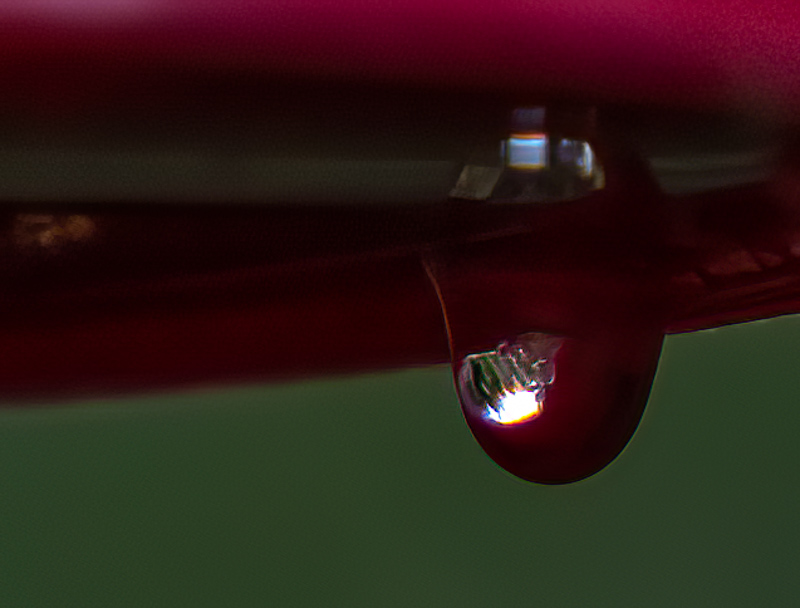 Carl ErlandSummer ChallengeJuly: Closeup or Macro #4 Water DropletsSweet 