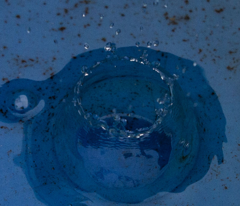 Carl Erland2023 Summer ChallengeJuly: Close up or Macro - #4 Water DropletsPlop