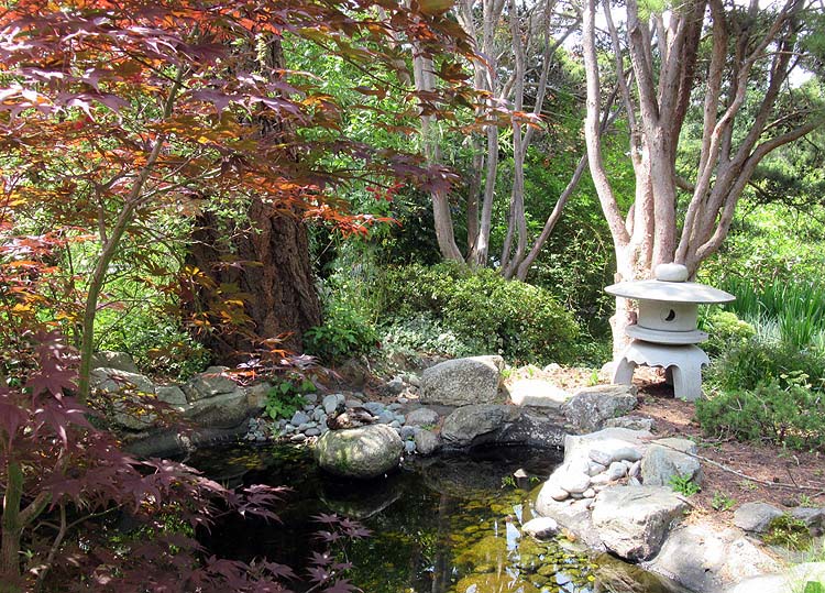 Willie HarvieJune 2023Shady Japanese Gardens 