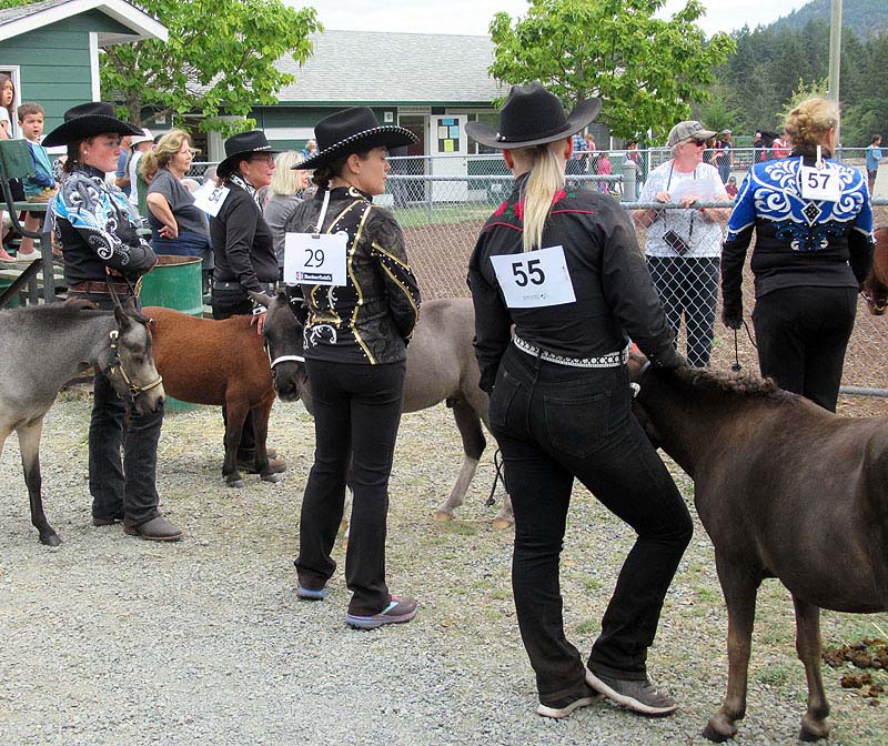 Willie HarvieField Trip Sept. 2023Cowichan ExhibitionWaiting to Compete 