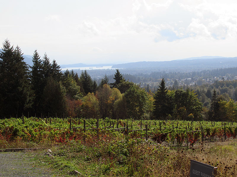 Willie HarvieCowichan WineriesField trip - Sept. 18 - 30, 2023Valley View