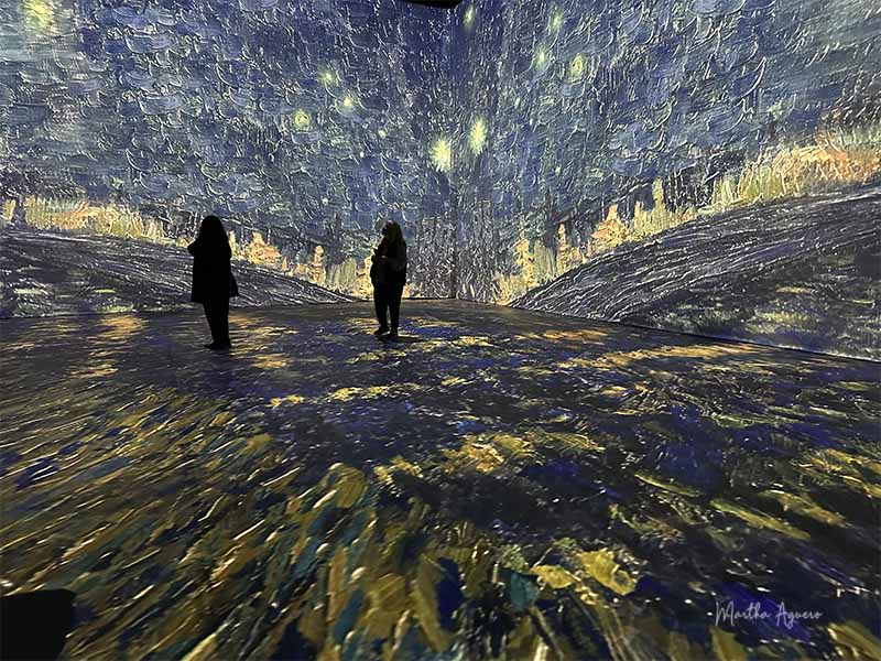 Martha Aguero  September  2023 Van-Gogh at night